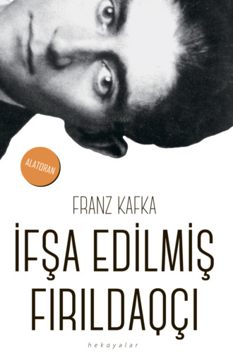 Обложка книги «İfşa edilmiş fırıldaqçı»