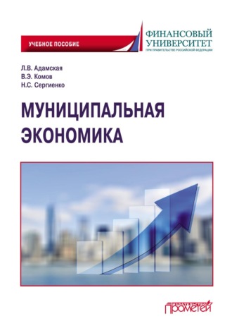 Валерий Энгельсович Комов. Муниципальная экономика