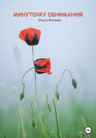 Обложка книги «Минуточку обнимания»