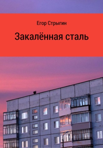 Обложка книги «Закалённая сталь»