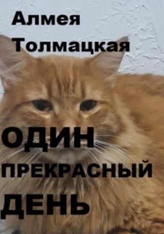 Обложка книги «Один прекрасный день»