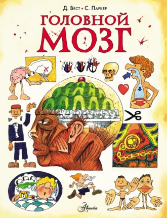 Обложка книги «Головной мозг»