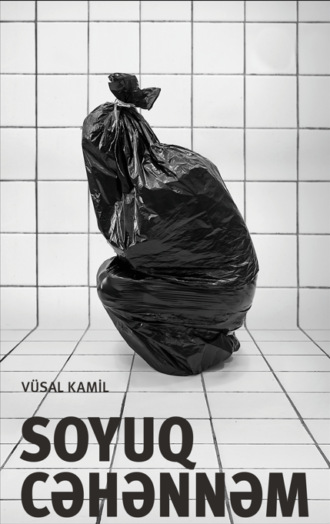 Обложка книги «Soyuq cəhənnəm»