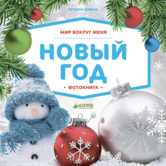 Обложка книги «Мир вокруг меня. Новый год. Фотокнига»