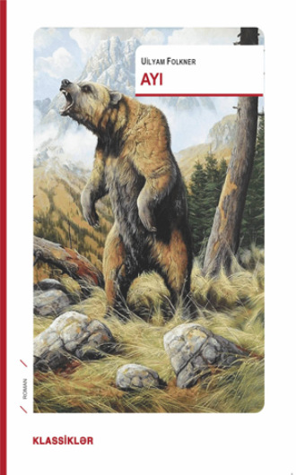 Обложка книги «AYI»