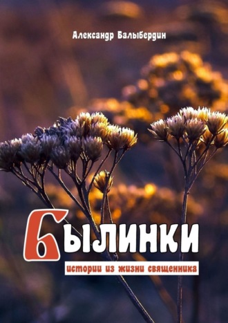 Обложка книги «Былинки. Истории из жизни священника»