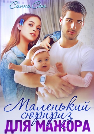 Обложка книги «Маленький сюрприз для мажора»