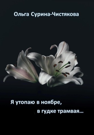 Обложка книги «Я утопаю в ноябре, в гудке трамвая…»