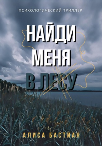 Обложка книги «Найди меня в лесу»