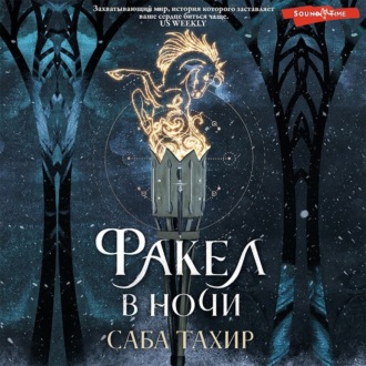 Обложка книги «Факел в ночи»