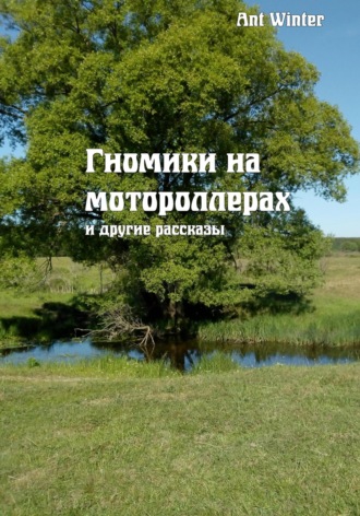 Обложка книги «Гномики на мотороллерах и другие рассказы»