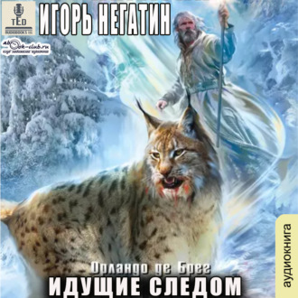 Обложка книги «Идущие следом»