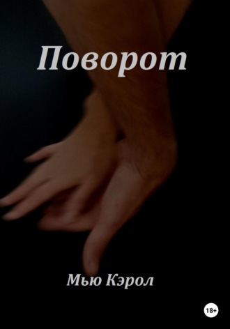 Обложка книги «Поворот»