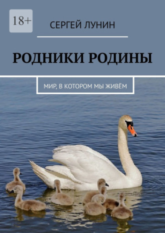 Сергей Лунин. Родники Родины. Мир, в котором мы живём