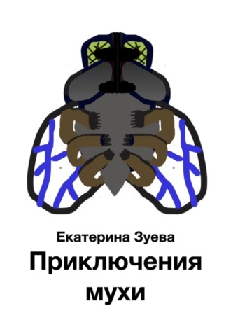 Обложка книги «Приключения мухи»