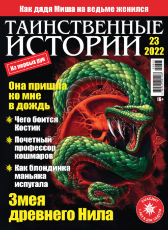 Обложка книги «Таинственные истории №23/2022»