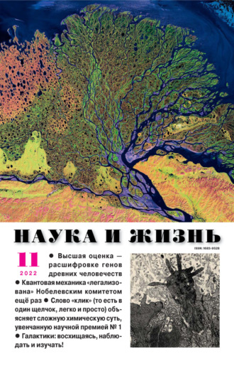 Обложка книги «Наука и жизнь №11/2022»