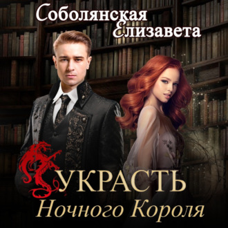 Обложка книги «Украсть Ночного Короля»