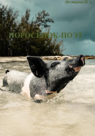 Обложка книги «Поросёнок-поэт»