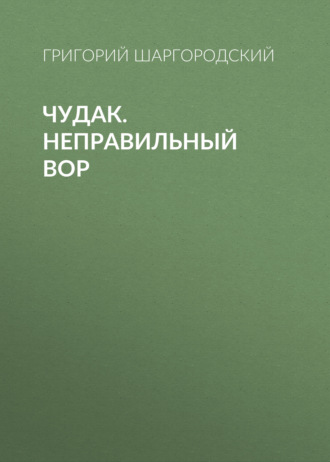 Григорий Шаргородский. Чудак. Неправильный вор