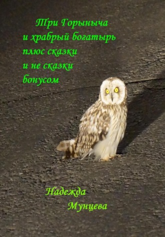 Обложка книги «Три Горыныча и храбрый богатырь плюс сказки и не сказки бонусом»