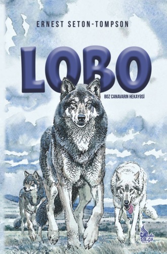 Обложка книги «Loqo»