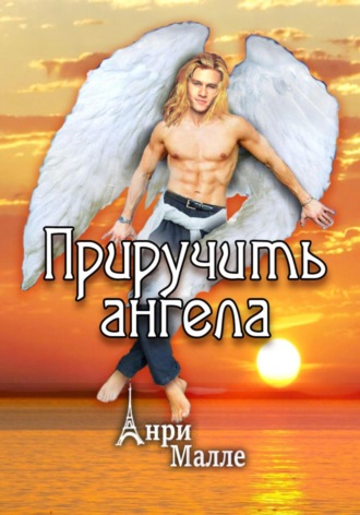 Обложка книги «Приручить ангела»