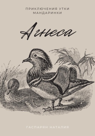 Обложка книги «Агнеса»