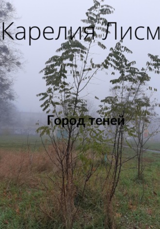 Обложка книги «Город теней»