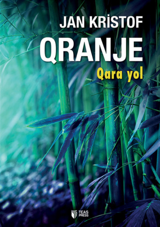 Обложка книги «Qara yol»