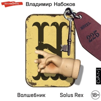Обложка книги «Волшебник. Solus Rex»