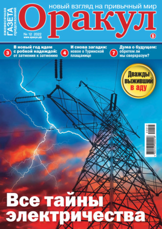 Обложка книги «Оракул №12/2022»