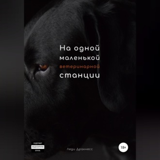 Обложка книги «На одной маленькой ветеринарной станции»