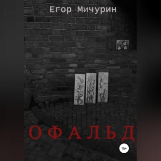 Обложка книги «Офальд»