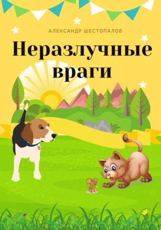 Обложка книги «Неразлучные враги»