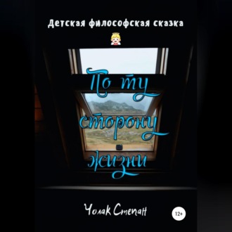 Обложка книги «По ту сторону жизни»