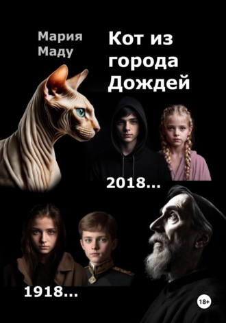 Обложка книги «Кот из Города дождей»