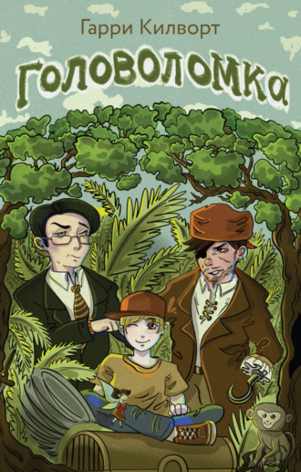 Обложка книги «Головоломка»