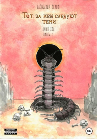 Обложка книги «Тот, за кем следуют тени»