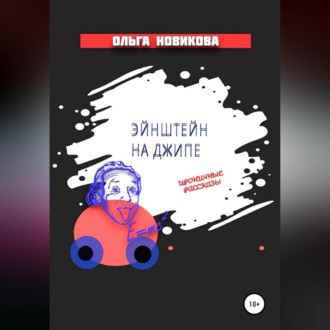 Обложка книги «Эйнштейн на джипе»