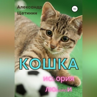 Обложка книги «Кошка. История любви»