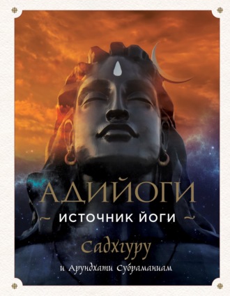 Обложка книги «Адийоги. Источник Йоги»
