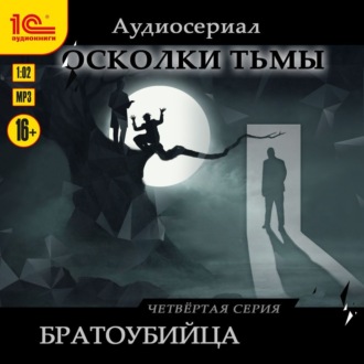 Обложка книги «Осколки тьмы. Серия 4. Братоубийца»