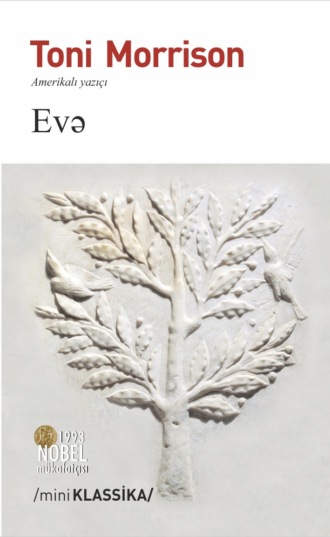 Обложка книги «Evə»