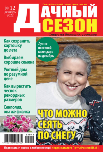 Обложка книги «Дачный сезон №12/2022»