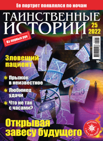 Обложка книги «Таинственные истории №25/2022»