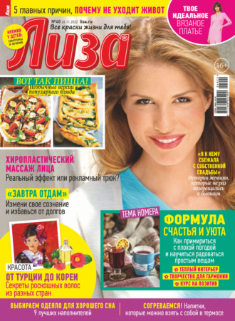 Обложка книги «Журнал «Лиза» №48/2022»