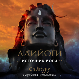 Обложка книги «Адийоги. Источник Йоги»