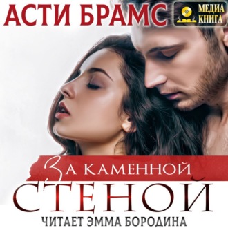 Обложка книги «За каменной стеной»