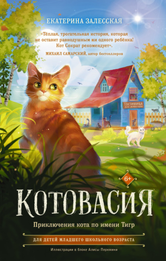 Обложка книги «Котовасия. Приключения кота по имени Тигр»